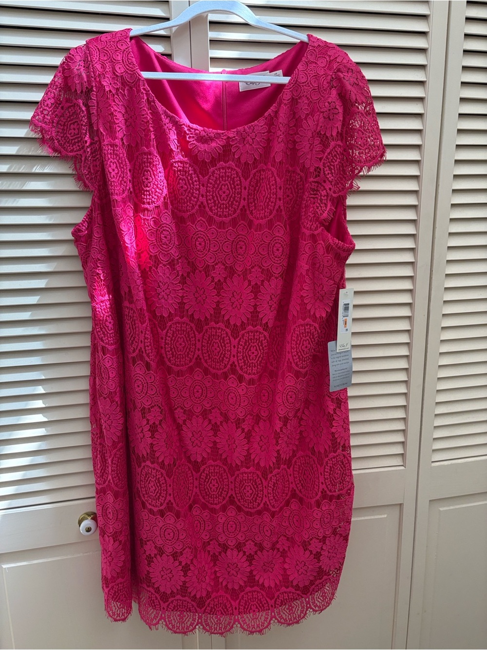 Eliza J Bright Pink Lace Dress